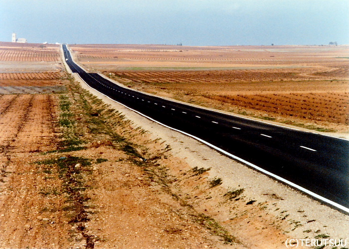 �o�D�����P�B�e �G���E�g�{�\�ւ̓� �~���[�W�J���w���E�}���`���̒j�x�T���`��