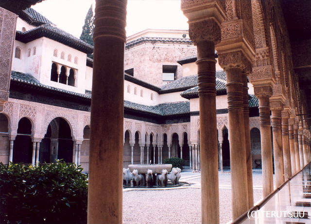 �o�D�����P�B�e �~���[�W�J���w���E�}���`���̒j�x�T���`���E�p���T �O���i�_ �A���n���u���{�a ���C�I���̃p�e�B�I