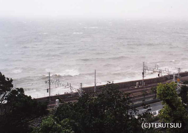 �o�D�����P �B�e �w�q�ߐ����J��x�ɐ��O�Y�`�� �_�ˎs�{���Ђ�ǂ肱��