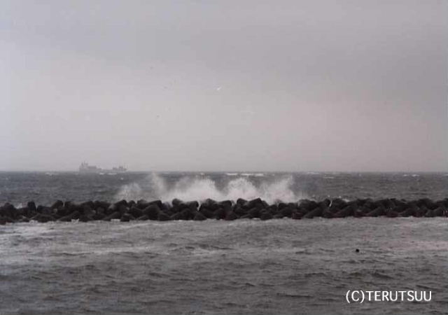 �o�D�����P �B�e �w�q�ߐ����J��x�ɐ��O�Y�`�� �_�ˎs�{��