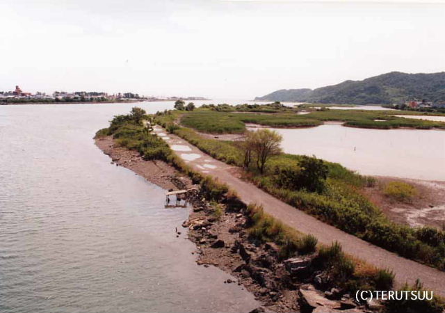 �o�D�����P �B�e �w�q�ߐ����J��x�ɐ��O�Y�`�� �����s���Y