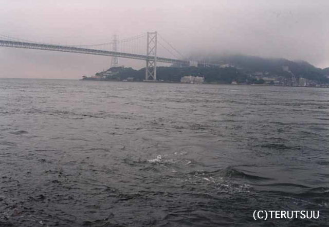 �o�D�����P �B�e �؉������w�q�ߐ����J��x�ɐ��O�Y�`�� �֖�C���d�m�Y