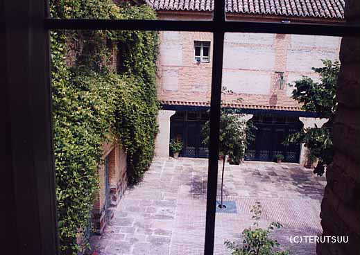 �o�D�����P �B�e �~���[�W�J���w���E�}���`���̒j�x�T���`���E�p���T �o���h�[���E�f�E�A���}�O��