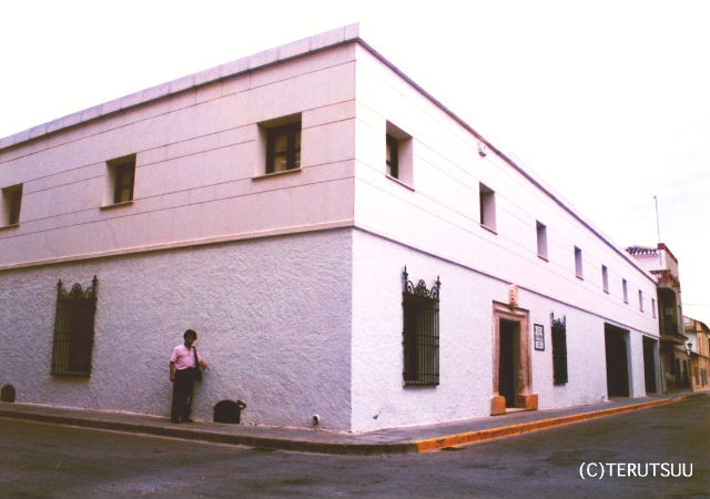 �o�D�����P �B�e �~���[�W�J���w���E�}���`���̒j�x�T���`���E�p���T �h���E�L�z�[�e�����܂ꂽ��?