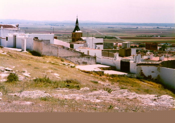 �o�D�����P �B�e �~���[�W�J���w���E�}���`���̒j�x�T���`�� �����P �J���|�E�f�E�N���v�^�[�i�A���Ԃ̋u